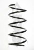 SPIDAN 55746 Coil Spring